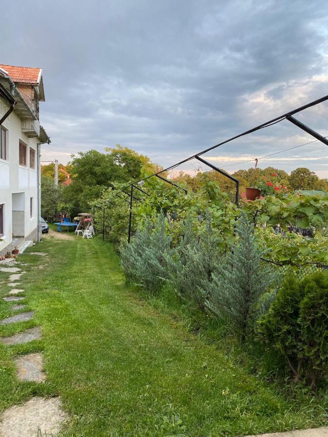 Pensiunea Angelica Baia de Fier Zewnętrze zdjęcie